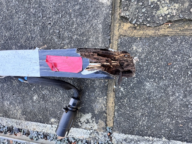 rottensignal rottensignal