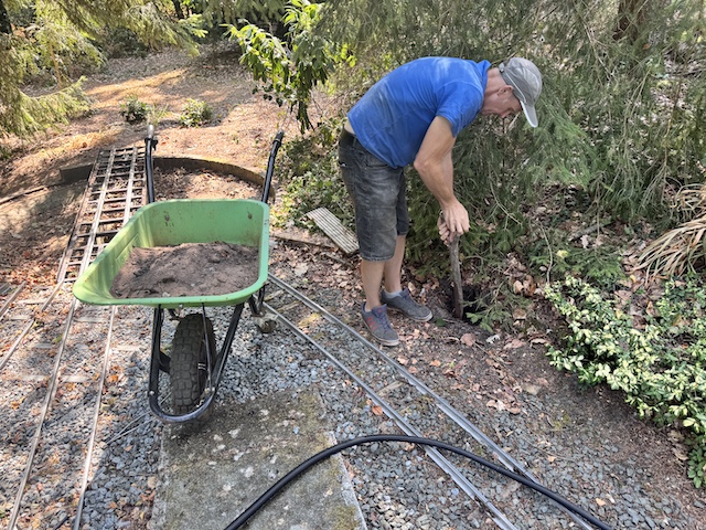 davedigging