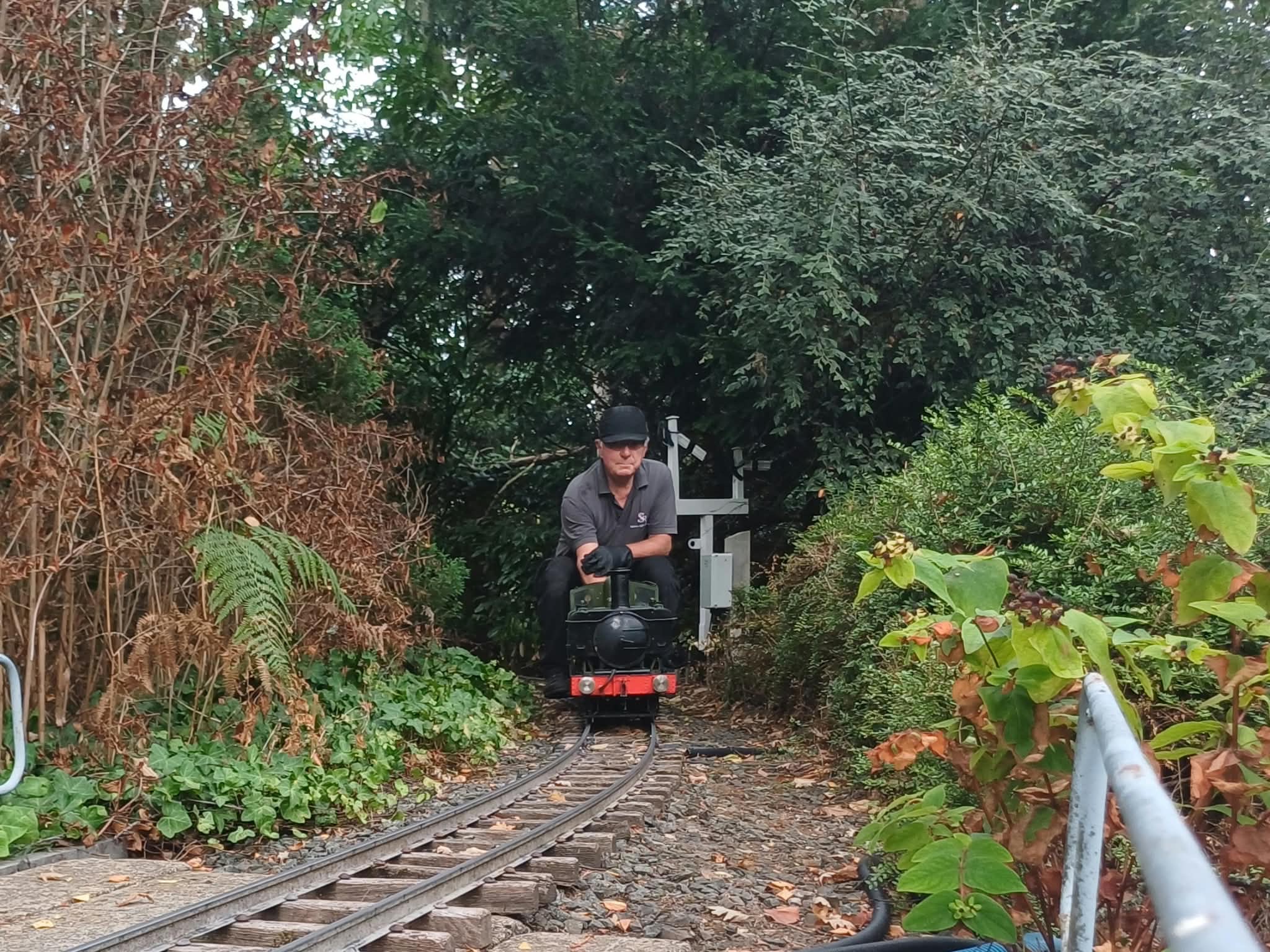 davepanniertankbaytreejunction